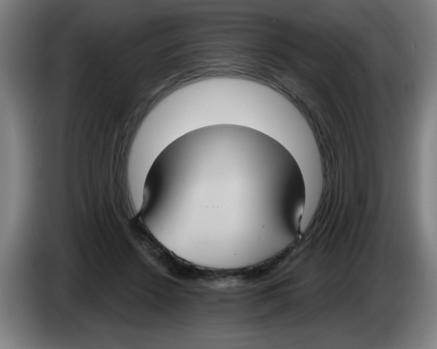 X0000086220456200704261840