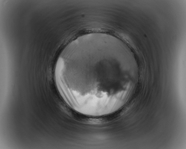 X0000086220457200704261840