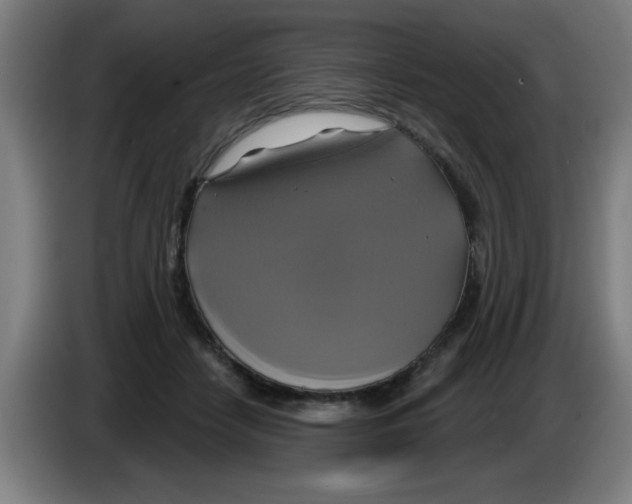 X0000086220458200704261840