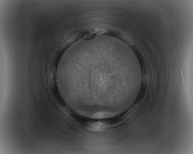 X0000086220460200704261840