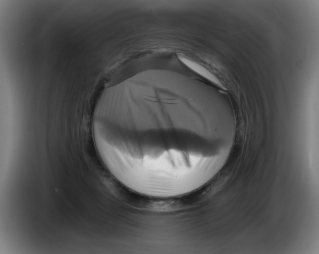 X0000086220461200704261840