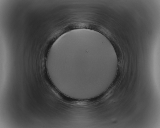 X0000086220462200704261840