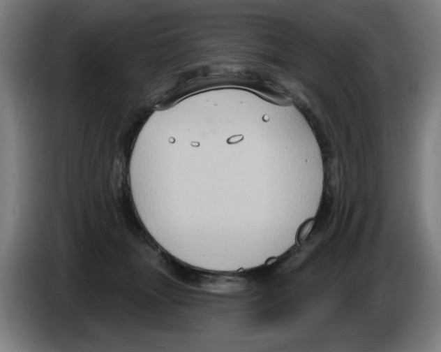 X0000086220463200704261840