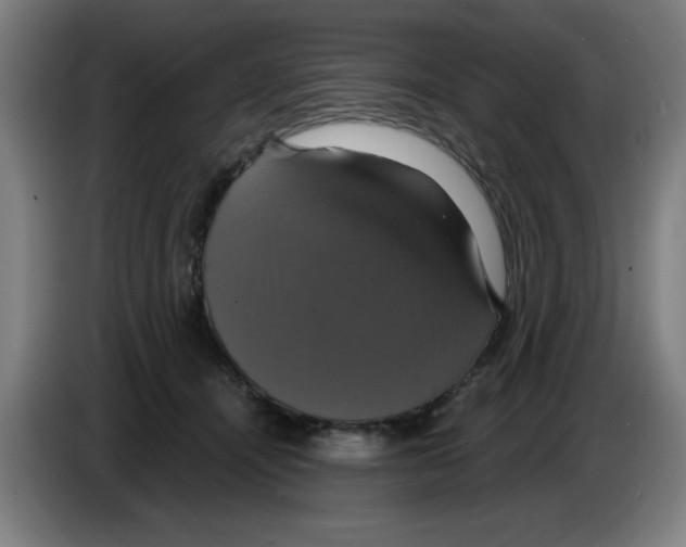 X0000086220464200704261840