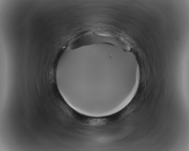 X0000086220465200704261840