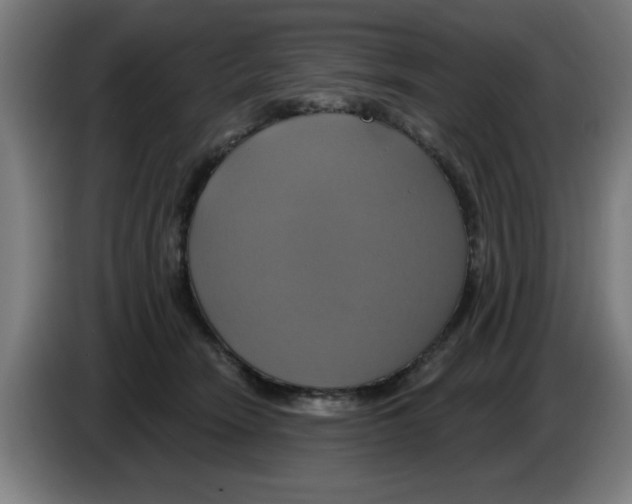 X0000086220466200704261840