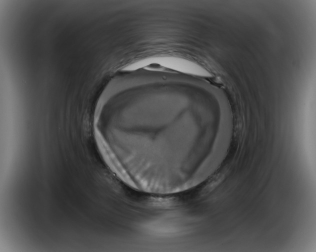 X0000086220469200704261840