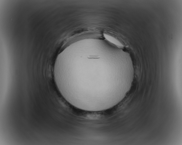 X0000086220470200704261840