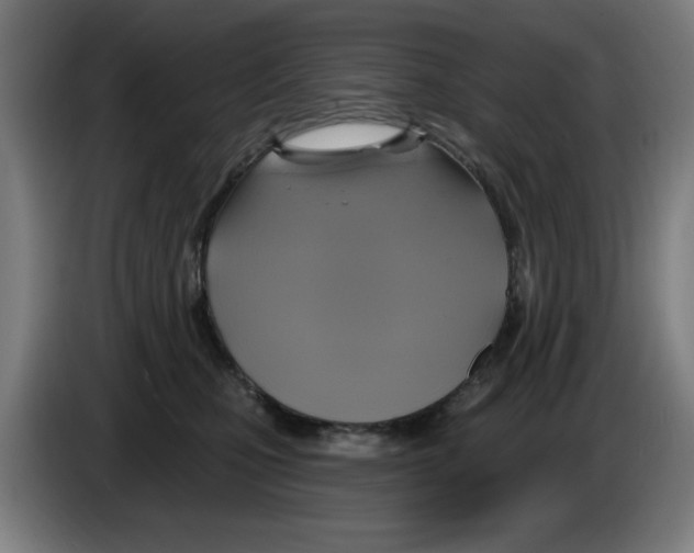 X0000086220471200704261840