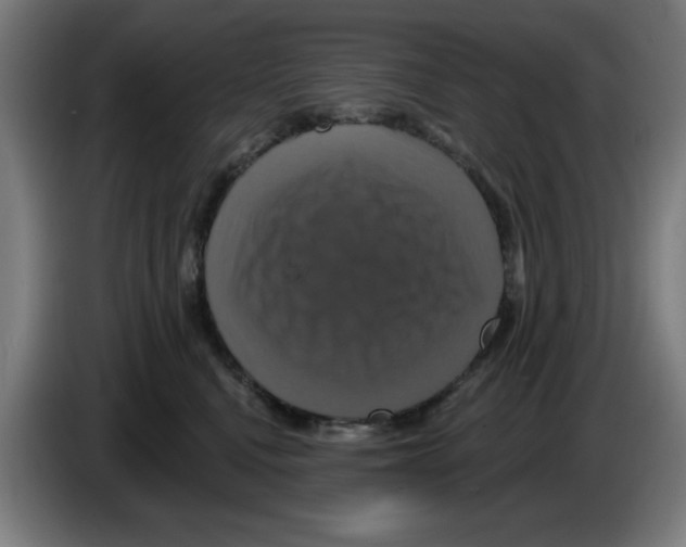 X0000086220472200704261840