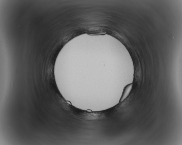 X0000086220473200704261840