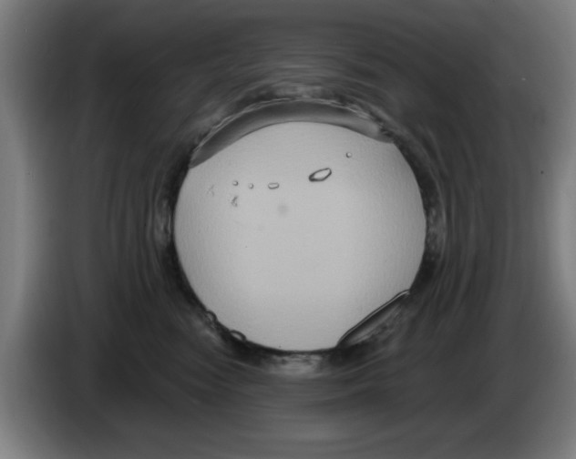 X0000086220474200704261840