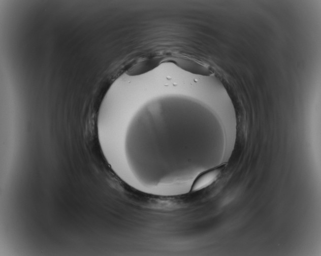 X0000086220475200704261840