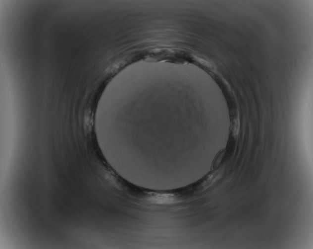 X0000086220476200704261840