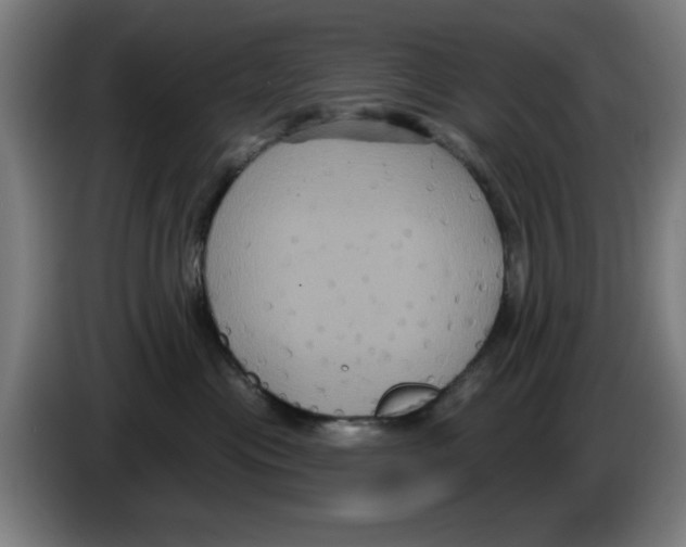 X0000086220477200704261840