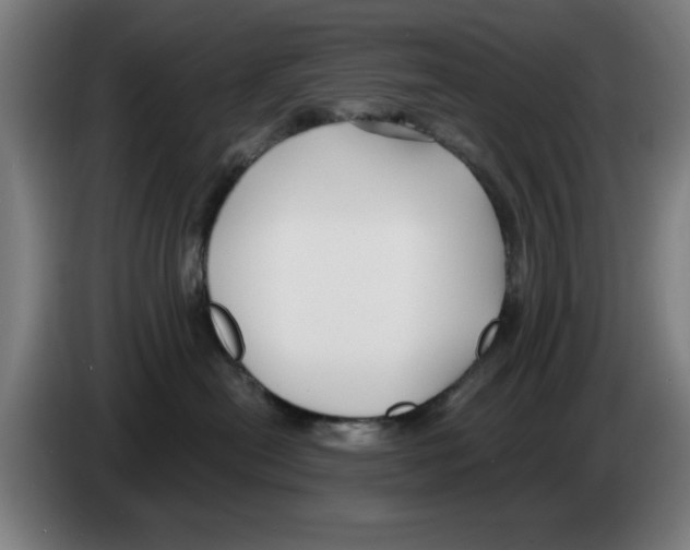 X0000086220478200704261840