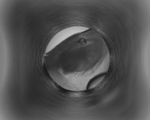 X0000086220479200704261840