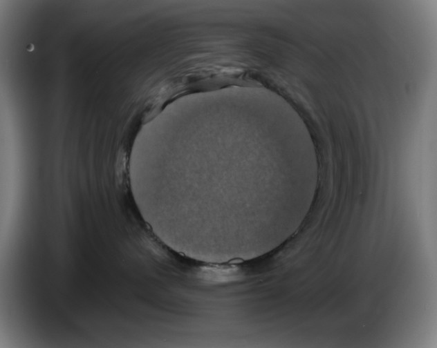 X0000086220480200704261840