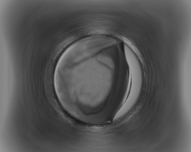 X0000086220481200704261839