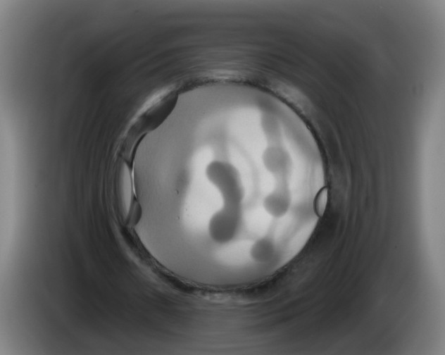 X0000086220482200704261839