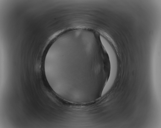 X0000086220483200704261839