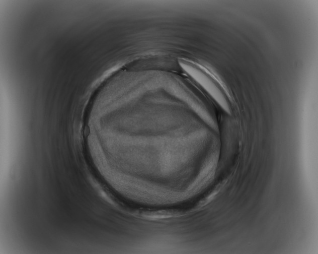 X0000086220485200704261839