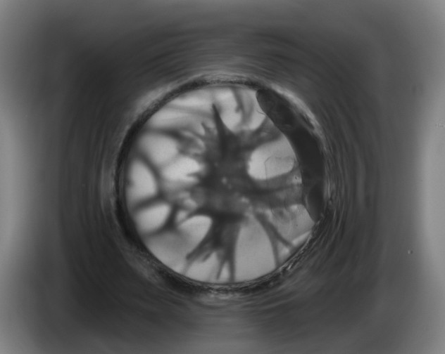 X0000086220487200704261839