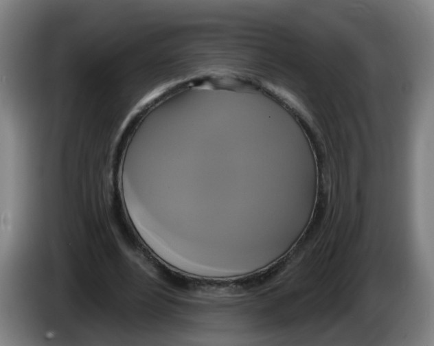 X0000086220488200704261839