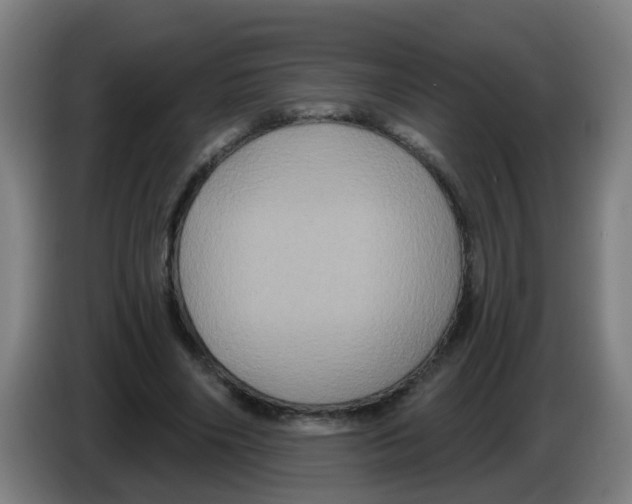 X0000086220490200704261839