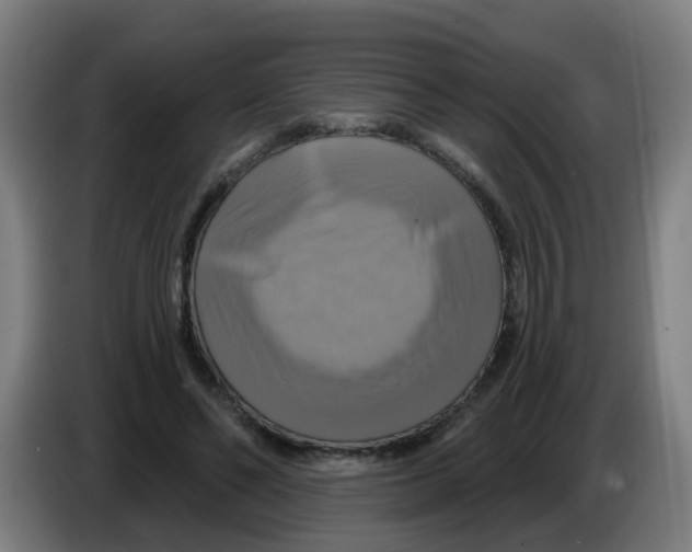 X0000086220494200704261839