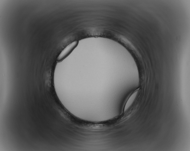 X0000086220497200704261839