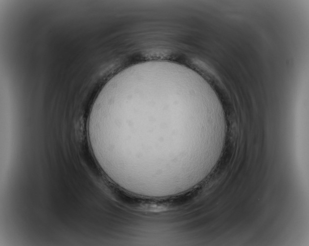 X0000086220498200704261839