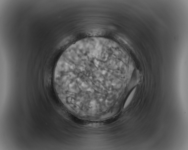 X0000086220499200704261839