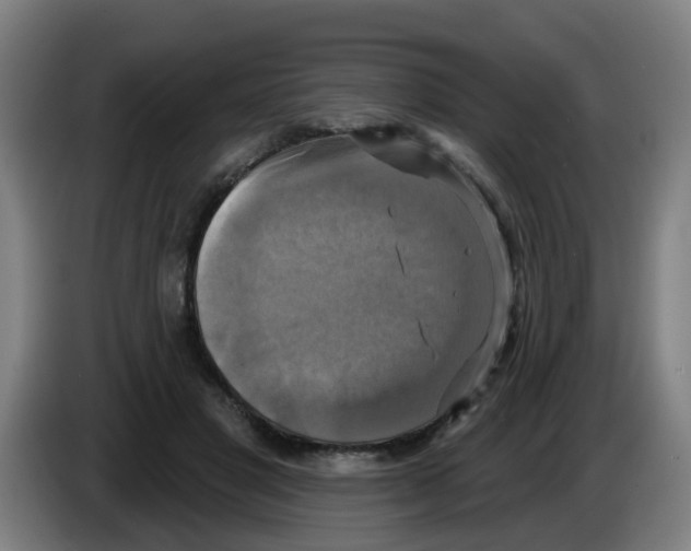 X0000086220501200704261839