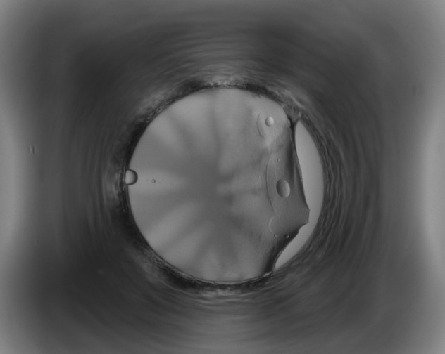 X0000086220503200704261839