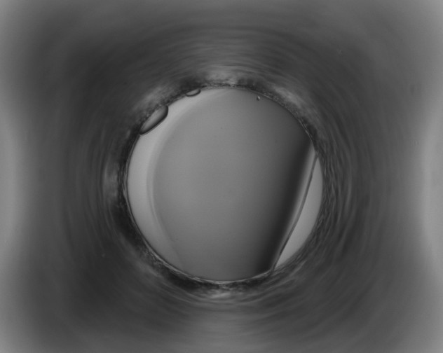 X0000086220504200704261839