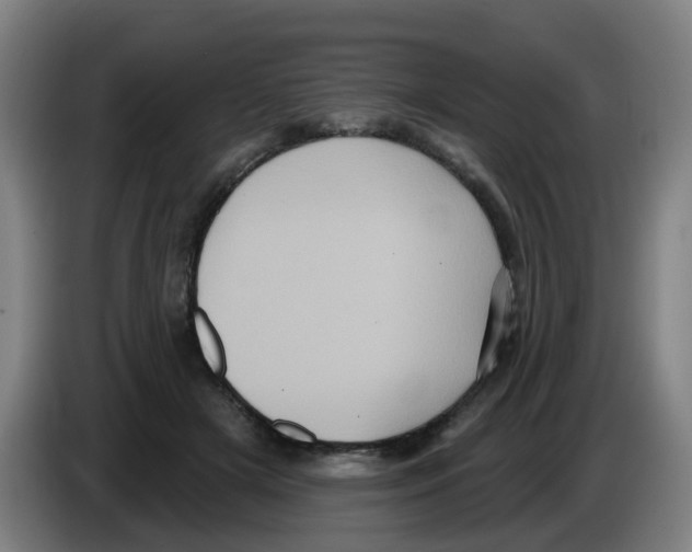 X0000086220505200704261839