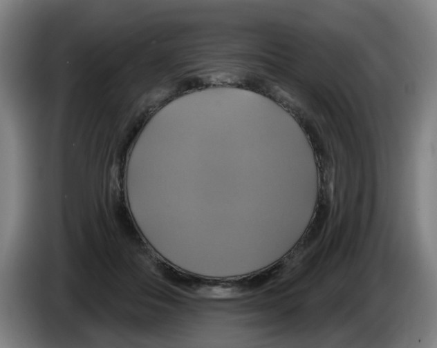 X0000086220506200704261839