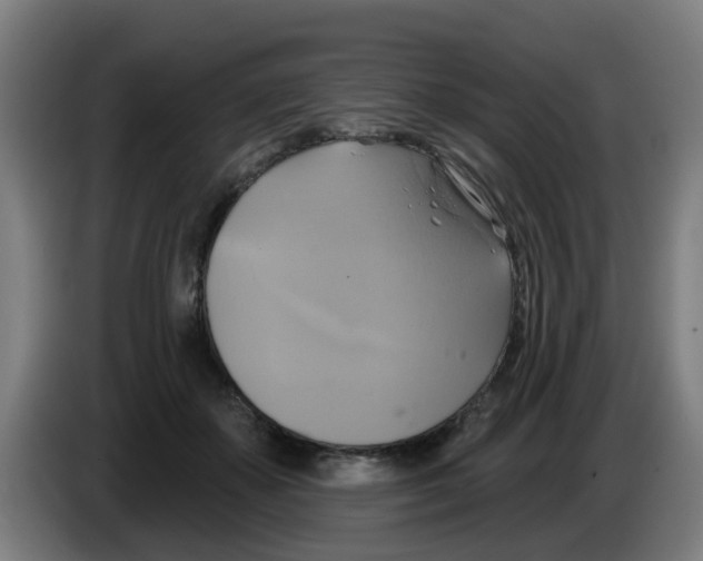 X0000086220507200704261839