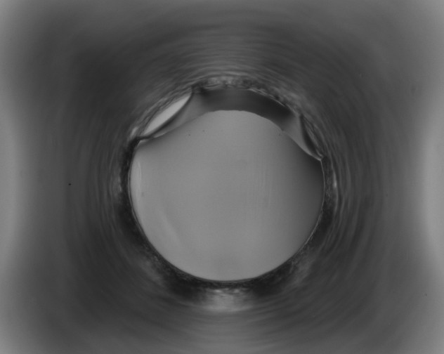 X0000086220508200704261839