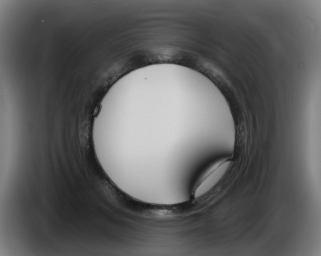 X0000086220509200704261839