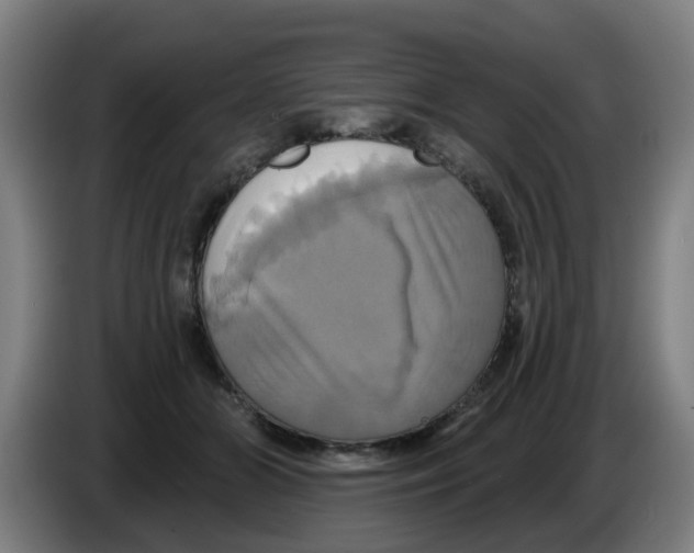 X0000086220510200704261839