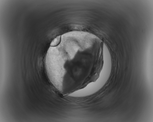 X0000086220511200704261839