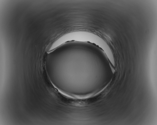 X0000086220512200704261839