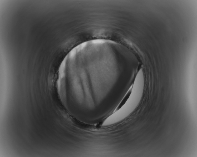 X0000086220513200704261839