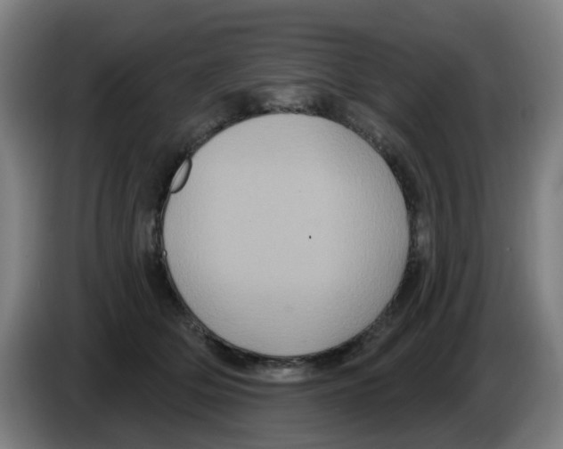 X0000086220514200704261839