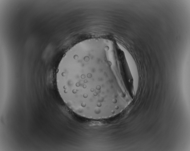 X0000086220519200704261839