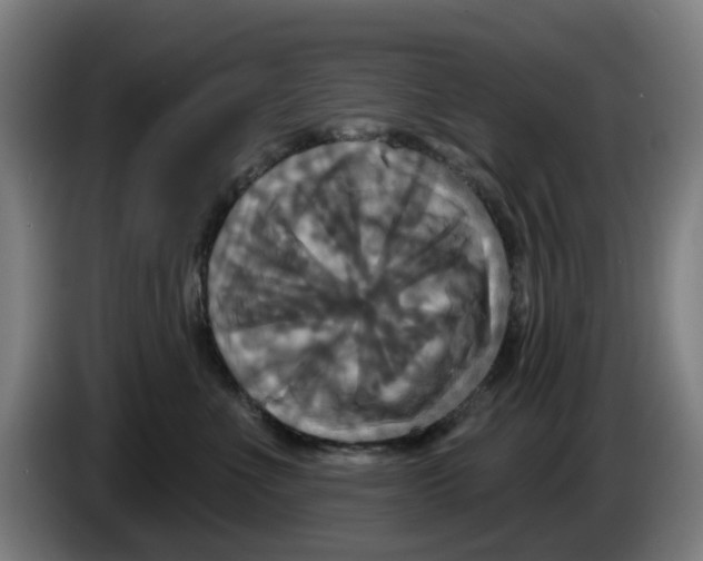 X0000086220523200704261839