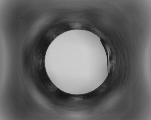 X0000086220525200704261839