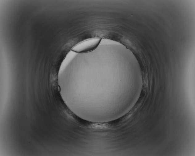 X0000086220526200704261839